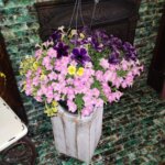 The Wooden Apple Florist