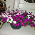 The Wooden Apple Florist