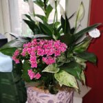 The Wooden Apple Florist