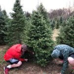 48382525_10155938460117057_6973156219993194496_n Whitetail Acres