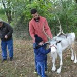 48939737_10155954495917057_3107009836194201600_n Whitetail Acres