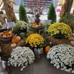 568877388_1412092330924291_8462646704186019463_n Whitetail Acres