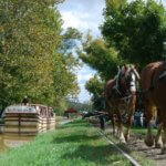 White+Water+Canal Horse Drawn Canal Boat (NOT in operation until further notice)