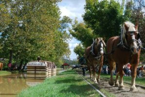White+Water+Canal