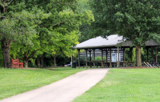 shelter-Baudendistel-1