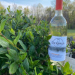 Backroads Vineyard