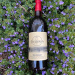 Backroads Vineyard