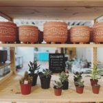 Sunshine Sisters Plant Shop