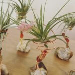 Sunshine Sisters Plant Shop