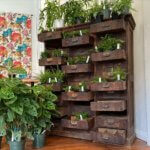 Sunshine Sisters Plant Shop