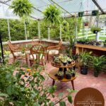 Sunshine Sisters Plant Shop