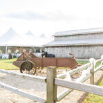Wagon Wheel Weddings & Events, LLC