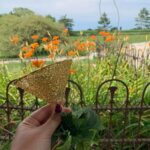 Wagon Wheel Weddings & Events, LLC