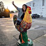 Chicken Wrangler