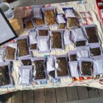 Metamora Farmers Market