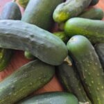 Metamora Farmers Market