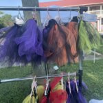 Metamora Farmers Market