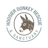 Hoosier Donkey Rescue & Sanctuary