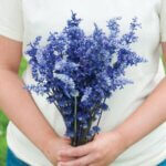 Wendel’s Petals  & Produce