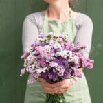 Wendel’s Petals  & Produce