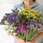 Wendel’s Petals  & Produce