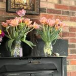 Wendel’s Petals  & Produce